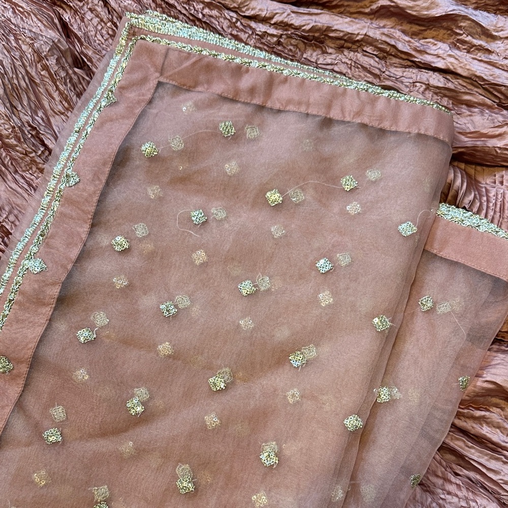 NEW Embroidered Pink Zuria Dor inspired dress - Picture 13 of 13